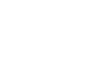 Les Webineurs