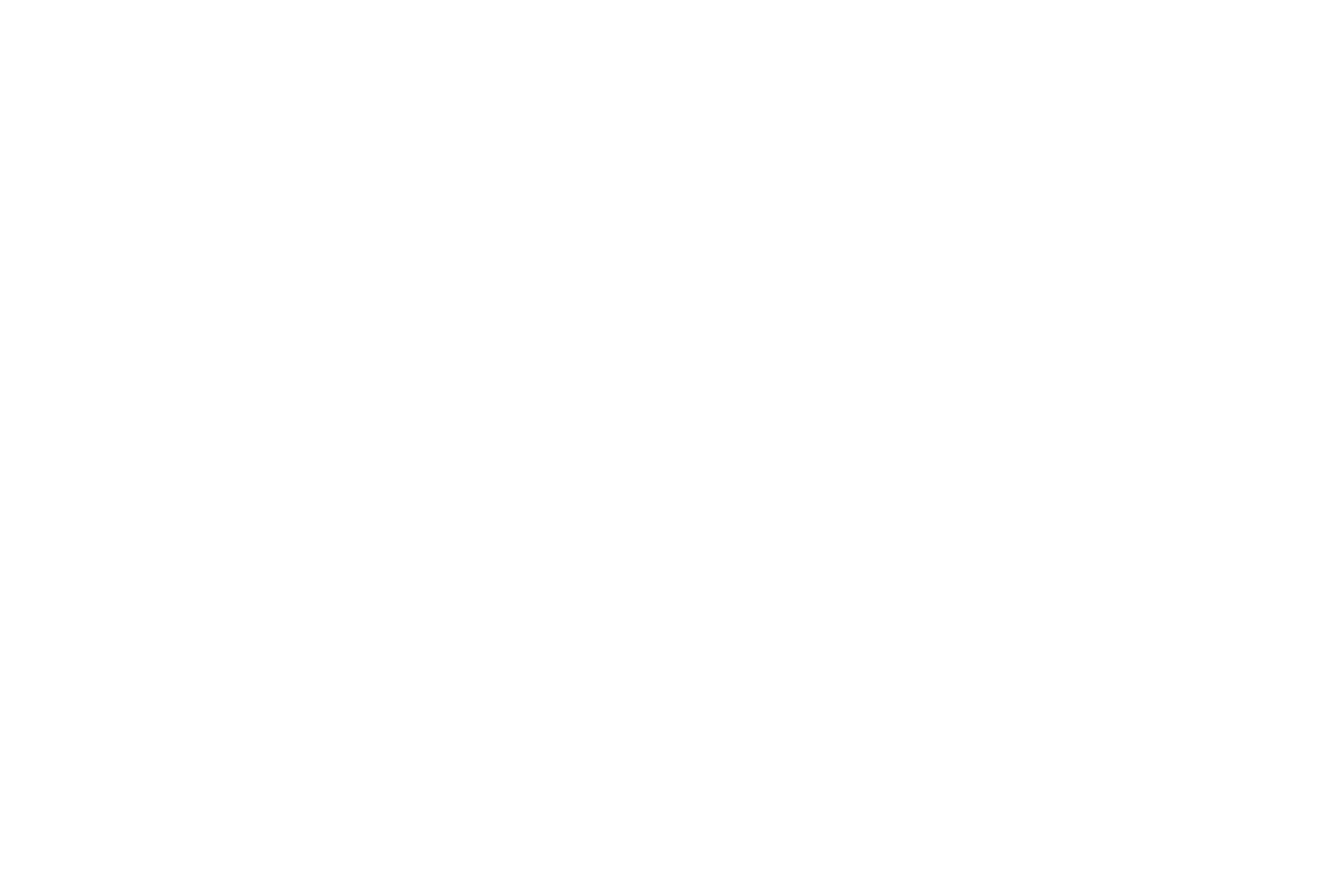 Les Webineurs