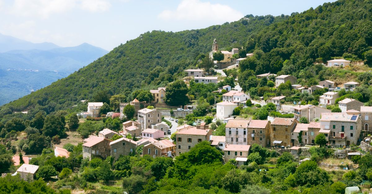 Application professionnelle à Ajaccio