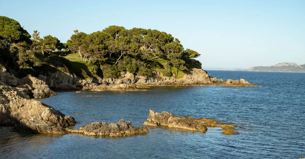 Création de site web à Hyères