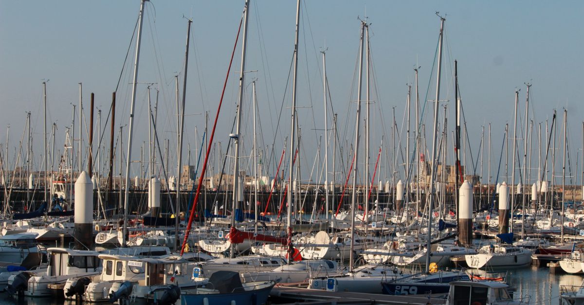 Développement d'application mobile au Havre