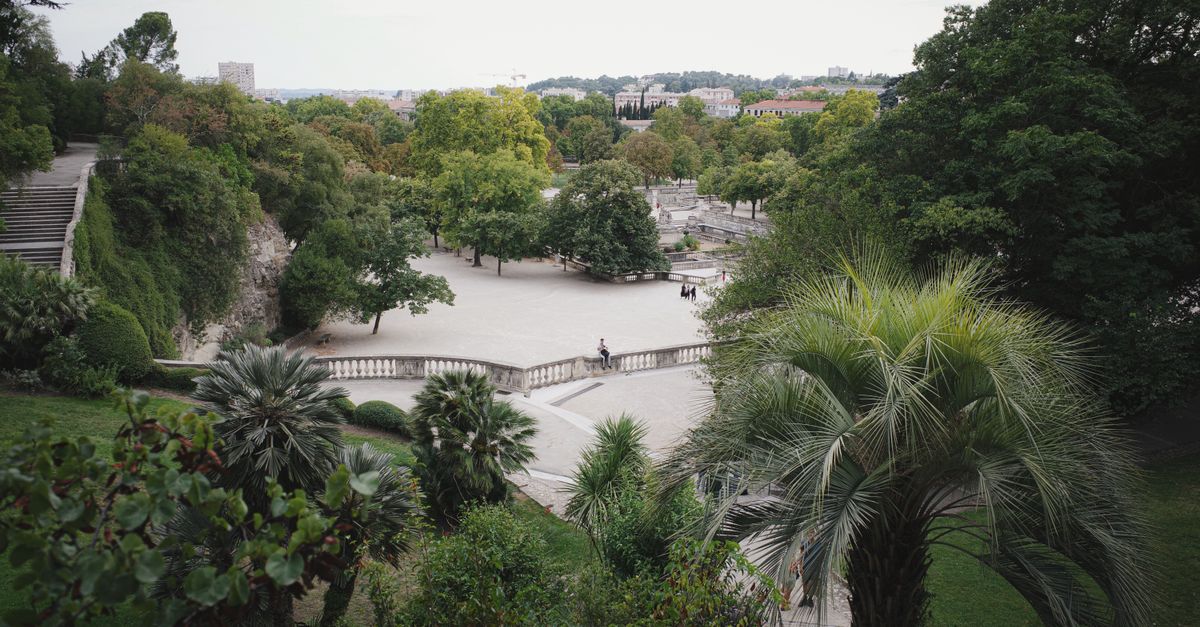Développement d'application mobile à Nîmes