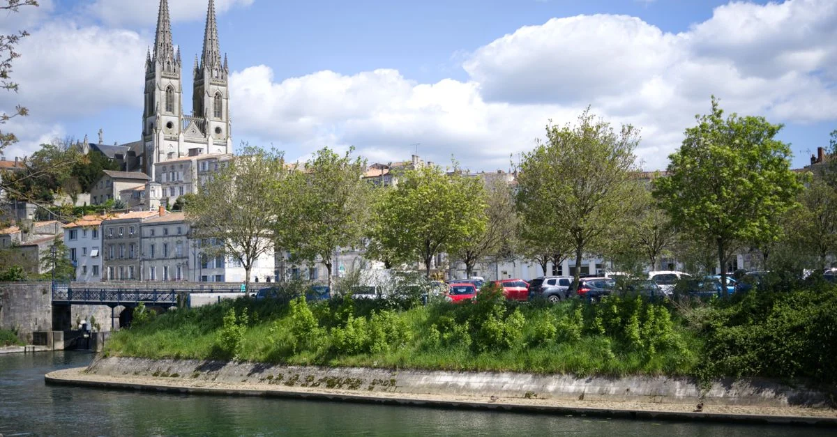 Refonte de site à Niort