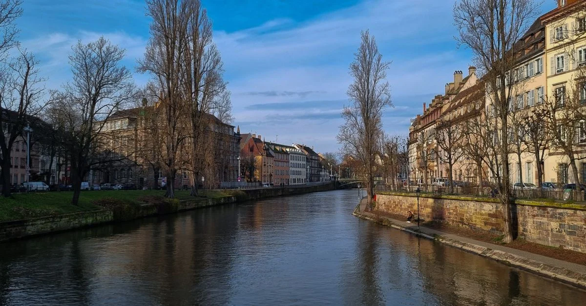 Refonte de site à Strasbourg