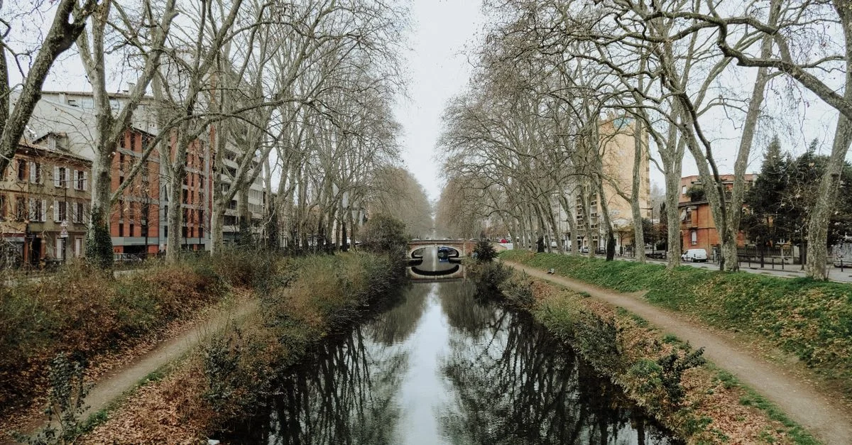 Refonte de site à Toulouse